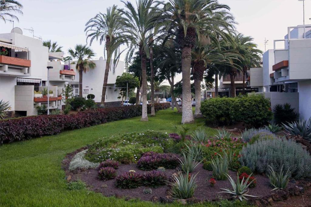 Tenerife Primavera Arona  Eksteriør bilde